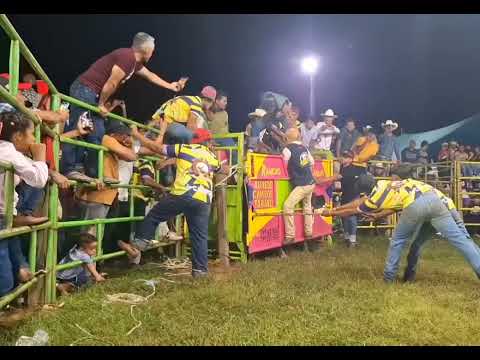 RABIA DE COYUCA🤠 🆚 TORO HURACÁN CATEGORÍA 5🐂