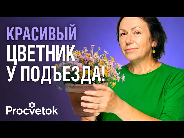 ️ЧТО ПОСАДИТЬ НА КЛУМБЕ У ПОДЪЕЗДА? Красивые и неприхотливые цветы, которые не выкопают и не срежут
