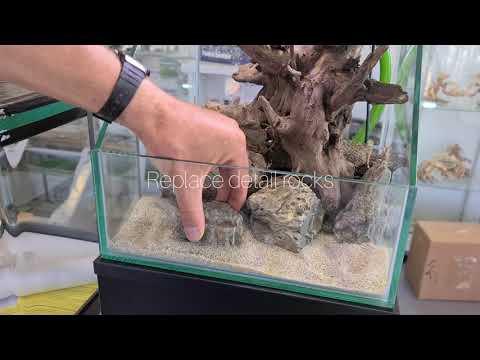 Open Range: How to Create a Stunning Paludarium | Step-by-Step Setup Guide