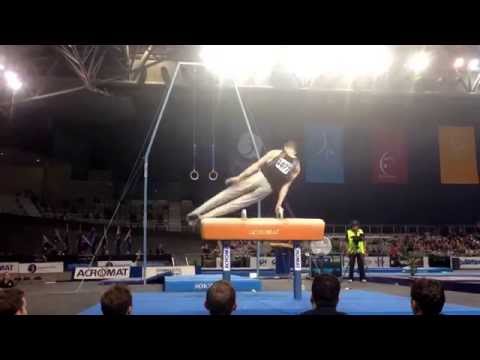 2014 Australian Gymnastics Championships Pommel Horse Final - Reid Mcgowan