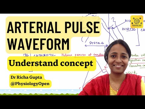 Normal Arterial pulse physiology waveform, pulse tracing, applied | CVS physiology mbbs |  practical