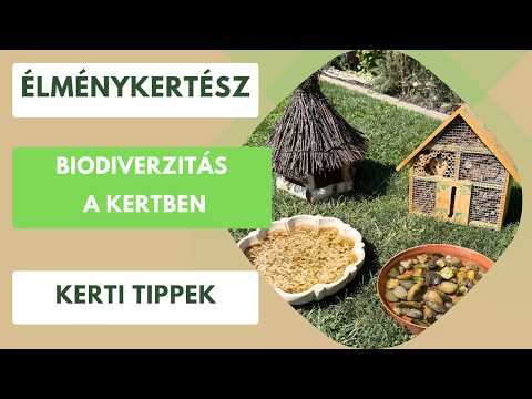 Miért olyan fontos a biodiverzitás a kertünkben?🏡