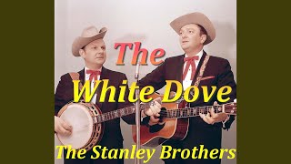 Mother No Longer Awaits Me At Home