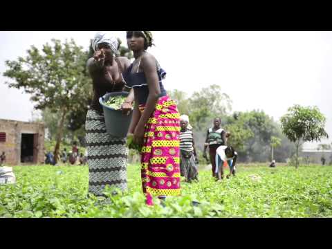 Clip WendDAABO   Soom Piiri