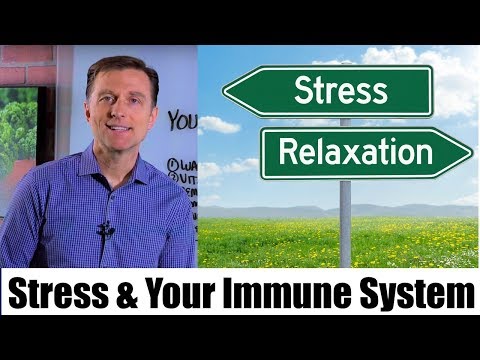 Sciatic Nerve Pain Be Gone Dr Berg s Quick Fix Solutions