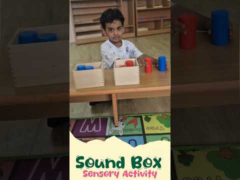Exploring the World of Sounds! | Sensory