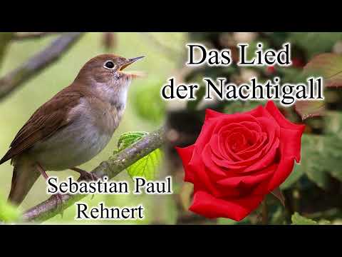 Das Lied der Nachtigall (Rehnert)
