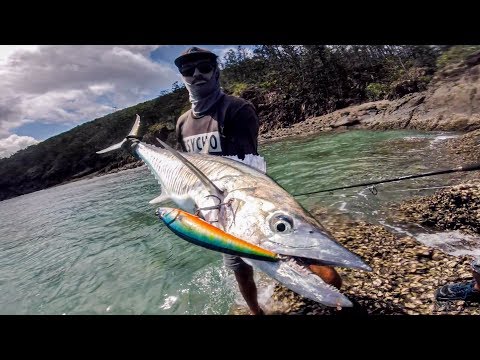 GIANT TREVALLY ROCK FISHING! Part 4, Tropical Fever!