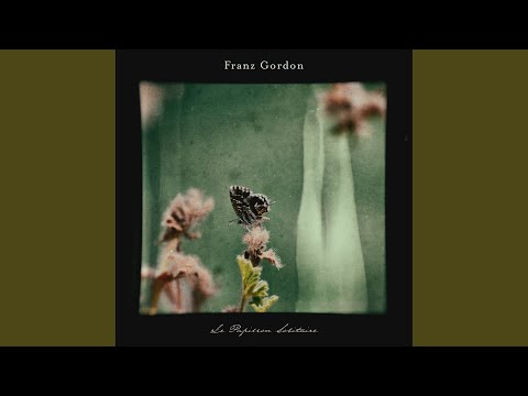 Le Papillon Solitaire