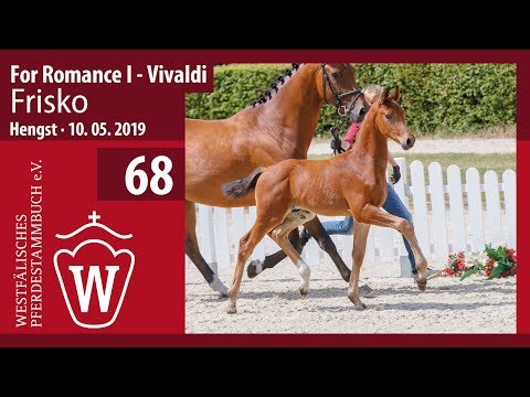 68 Frisko Hengst v. For Romance - Vivaldi