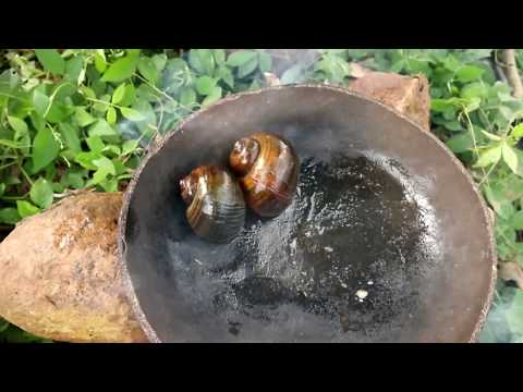 Find and catch snails in the flow of water and cook on clay for food - Cooking snails eat delicious Video