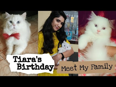 Tiara's Birthday & Meet My Family | Bliss Sparkles | Reshma Krishnan