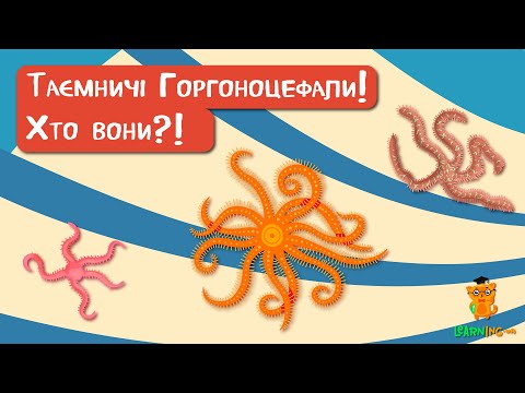 🍀 Дива природи. Явища навколо нас. Офіури Горгоноцефали 🌏