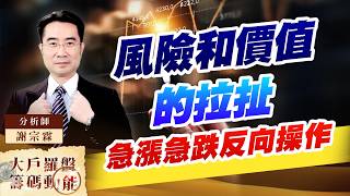 風險和價值的拉扯 急漲急跌反向操作