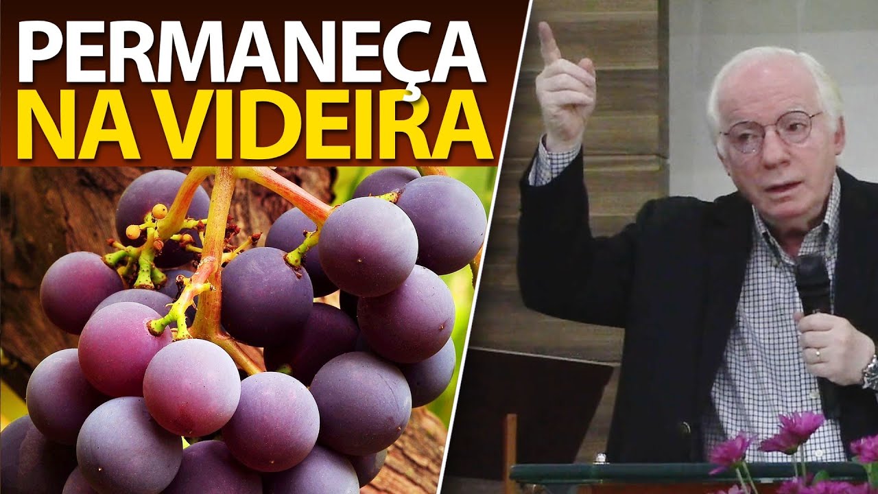 Eu sou a videira verdadeira, e meu Pai é o lavrador. (Pastor Paulo Seabra)