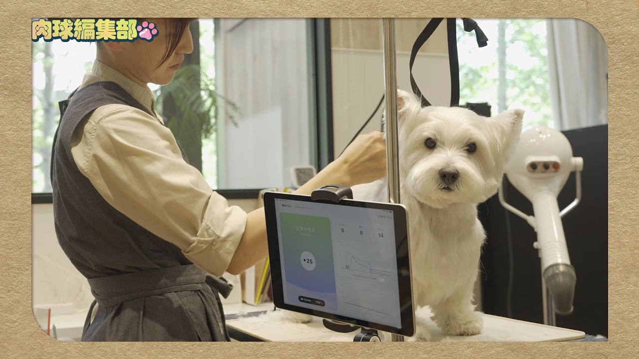 【肉球編集部】Ep.8 心に寄り添う癒しのドッグサロンとこてこて大阪散策