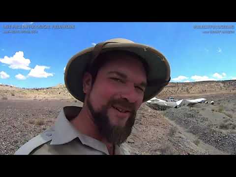 UTAH DINOSAUR DIG, Day 16 🦴⛏️🦖 Got more bones of our new iguanodont species, let's excavate 'em!