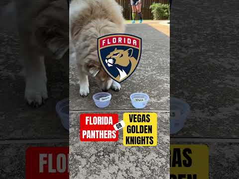 Kennedy’s Pick: Game 1 Stanley Cup Finals #nhl #nhlplayoffs #stanleycup #dog  #pets #floridapanthers
