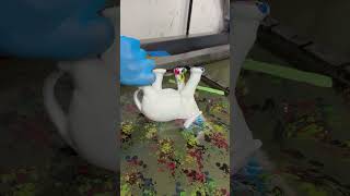 Hydro Dipping Elefant #satisfying #hydrodipping