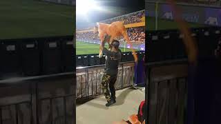 Download lagu Harimau selatan Tangkak.(1) mp3