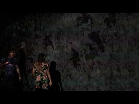 Room D - teamLab : au-delà des limites