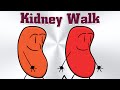 The Squishables Season 7 Short 3 Kidney Walk