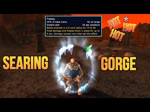 First Time here and I'm Impressed with PvP 🤯😱