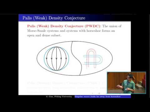 Singular vector fields far away from horseshoe - Shaobo Gan
