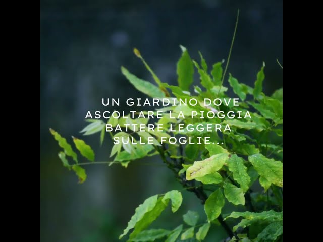Senti la pioggia battere sulle foglie del tuo giardino...
