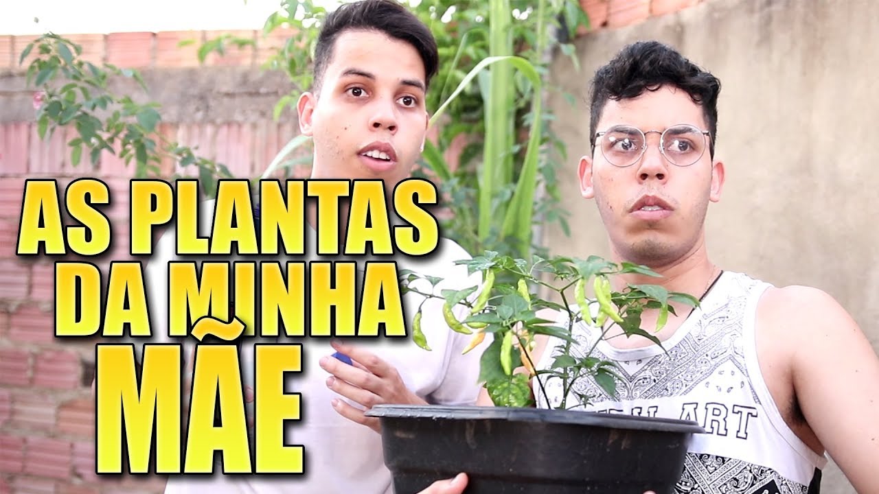 TATUAGEM E AS PLANTAS DA MÃE