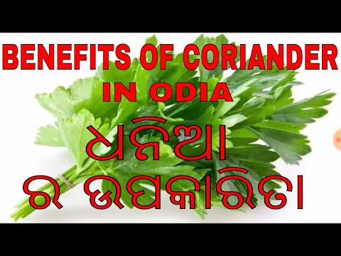 ଧନିଆ ର ଉପକାରୀତା, odia benefits of coriander, odia health tips & odia benefits of coriander, varkha