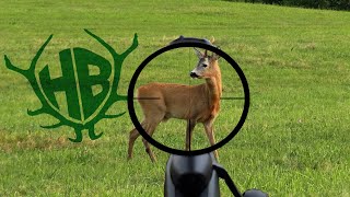 der magische Heuballen - Blattjagd mit dem Jagdbüro Kahle 2022