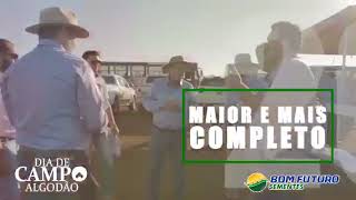 Dia de Campo de Algodão - Campo Verde