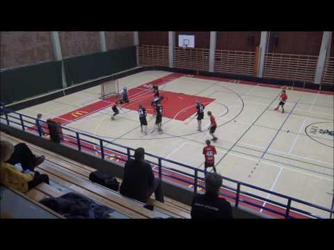 SUDET C01- SUDET D03  2.2.2017  1ERÄ