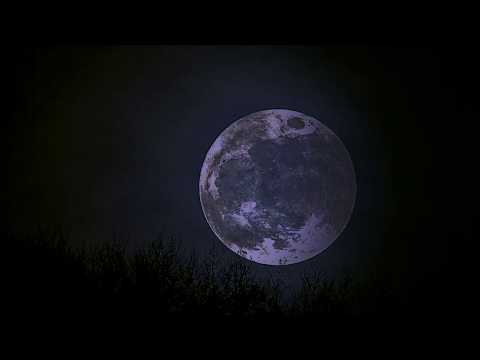 RÖMY - Shadows of the Night (Lyric Video)