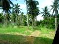 Picnic2x Sa Amung Bukid