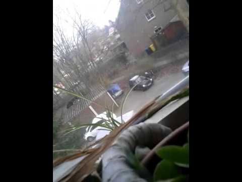 Der check ob herr Pimmel noch da ist.