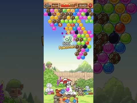 Simon Cat pop Time level 804 HARD