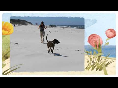 Pokoje Gościnne Sara - noclegi w Białogórze