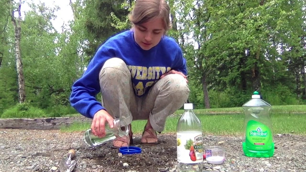What do you combine with vinegar to make a chemical volcano?