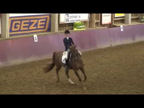 Weil der Stadt 2015 - Jana Schlotter - Fiogreen - Dressurprüfung Kl. M**