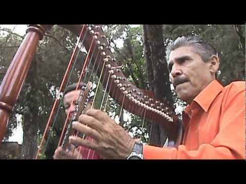 CAJON DE ARAUCA APUREÑO, EL CABALLERO DEL PASAJE JESUS MANUEL CASTRO