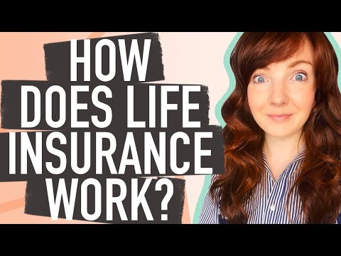 How Does Life Insurance Work?