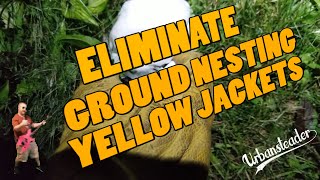 Eliminate Ground Nesting Yellow Jackets