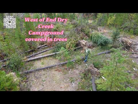 West End of Dry Creek Cover