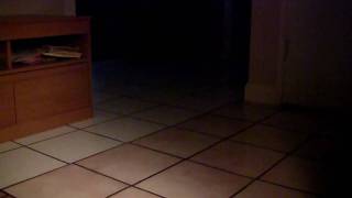 Tokyo Police Club - The Baskervilles