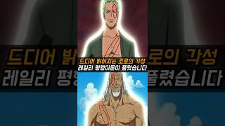 원피스) 드디어 밝혀지는 조로의 각성과 레일리 평행이론이 풀렸습니다