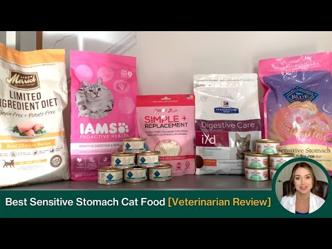 Best Sensitive Stomach Cat Foods [Recommended by a Vet]