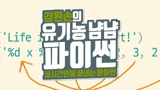 C 스타일 포맷팅 | 유기농냠냠파이썬 | 김왼손의 왼손코딩