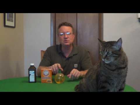 How To Remove Skunk Smell From a Dog or Cat